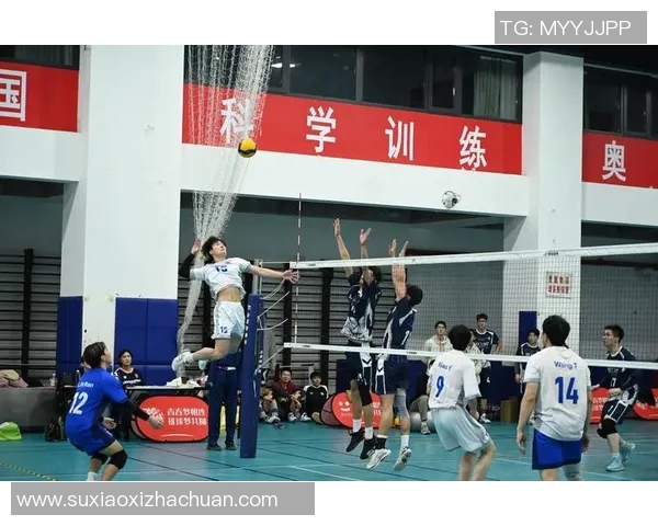 武汉排球队的崛起与发展探秘排球运动的力量与激情