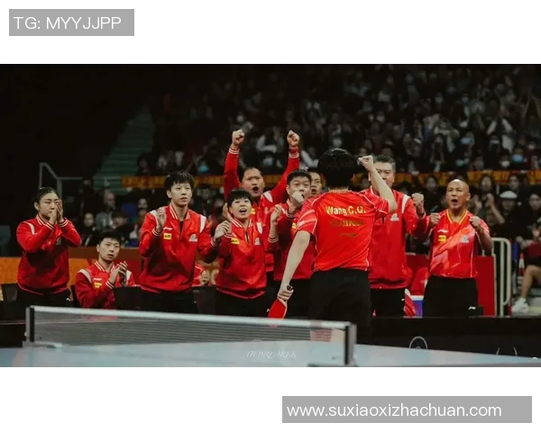 武汉乒乓球队与成都乒乓球队赛后复盘团队协作的成功与不足分析